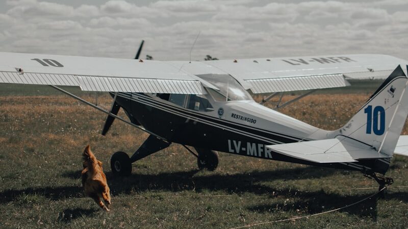 white and gray airplane on green grass field during daytime