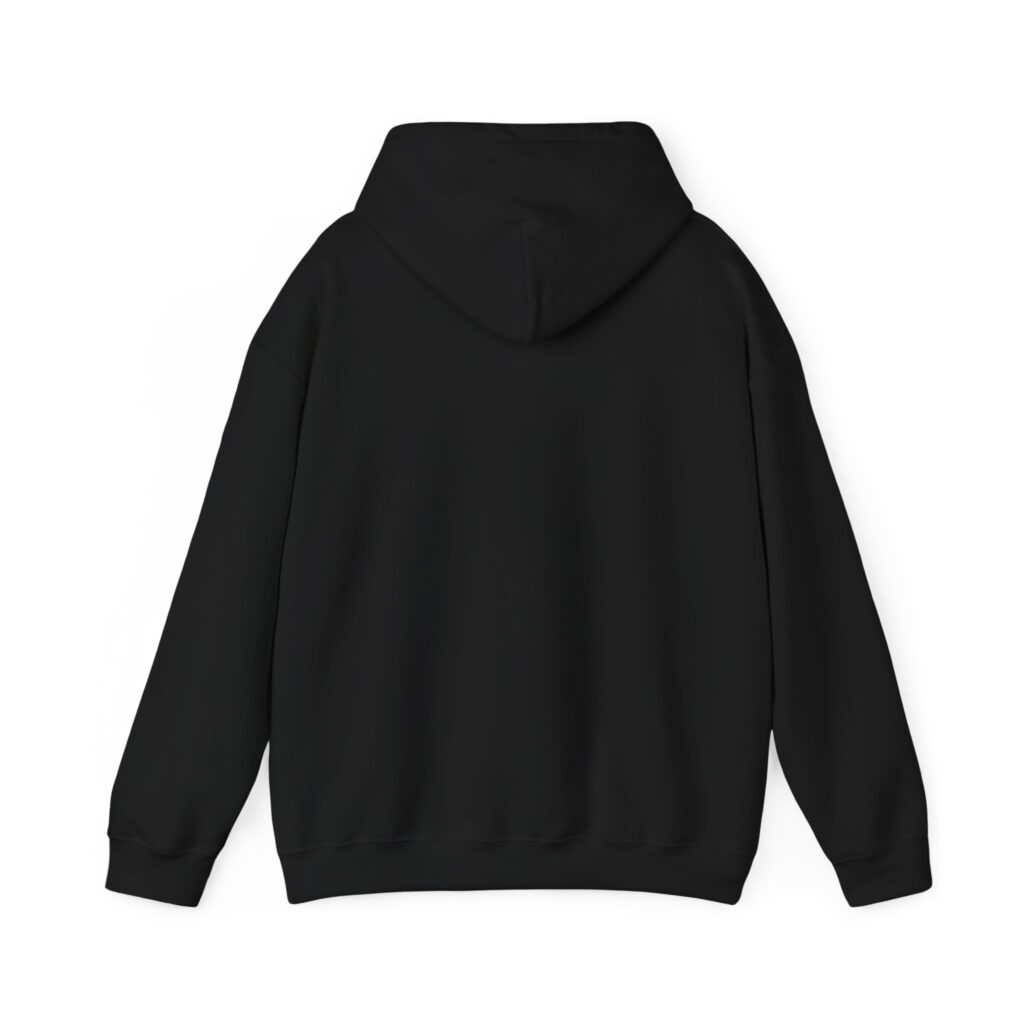 fly in season hoodie – light aircraft graphic, unisex pullover