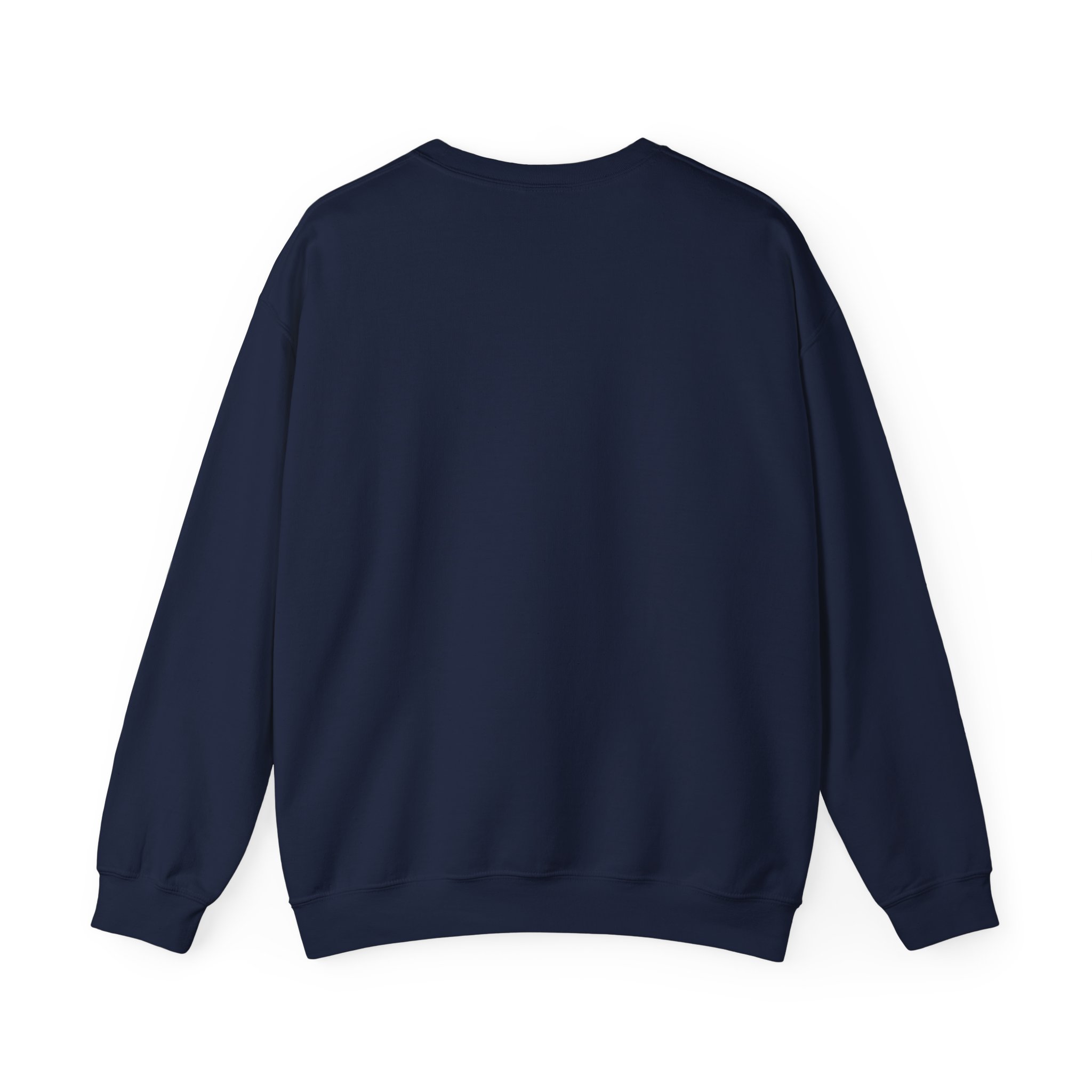 fly in season sweatshirt – light aircraft graphic, unisex crewneck