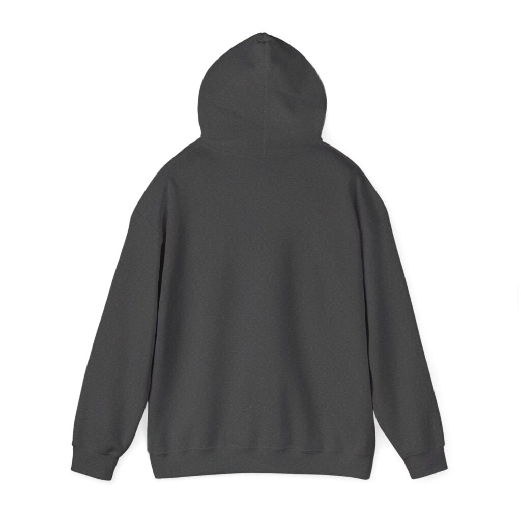 aviate navigate communicate hoodie – heading indicator design, unisex pullover