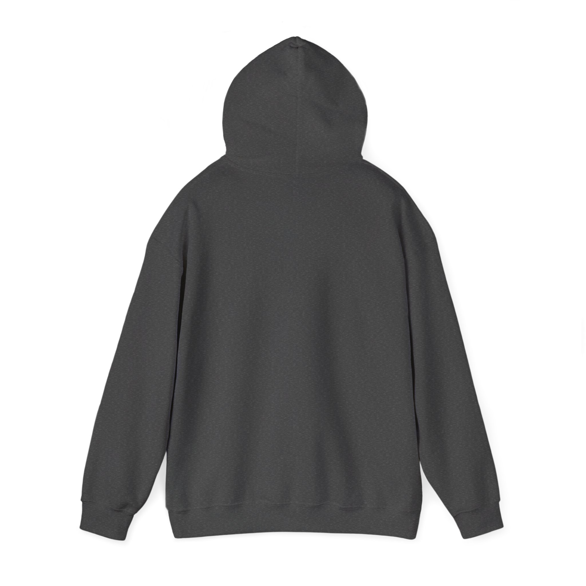 aviate navigate communicate hoodie – heading indicator design, unisex pullover