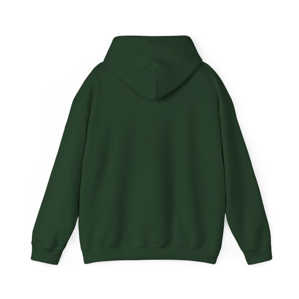 fly in season hoodie – light aircraft graphic, unisex pullover