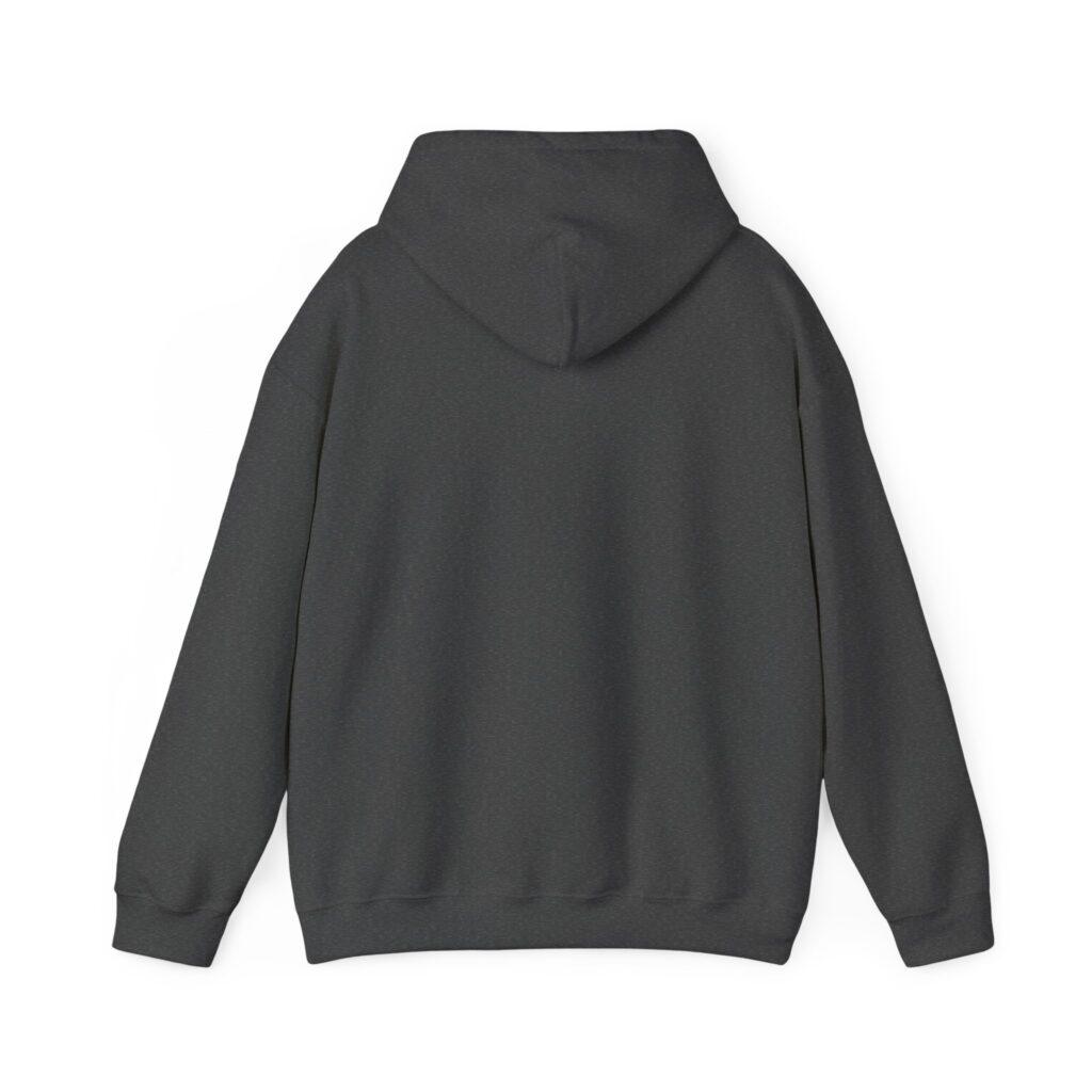 aviate navigate communicate hoodie – heading indicator design, unisex pullover