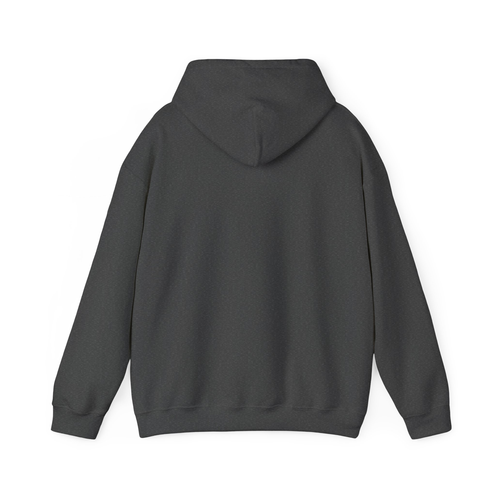 aviate navigate communicate hoodie – heading indicator design, unisex pullover