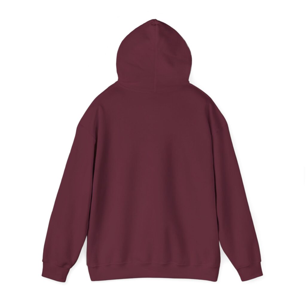 fly in season hoodie – light aircraft graphic, unisex pullover