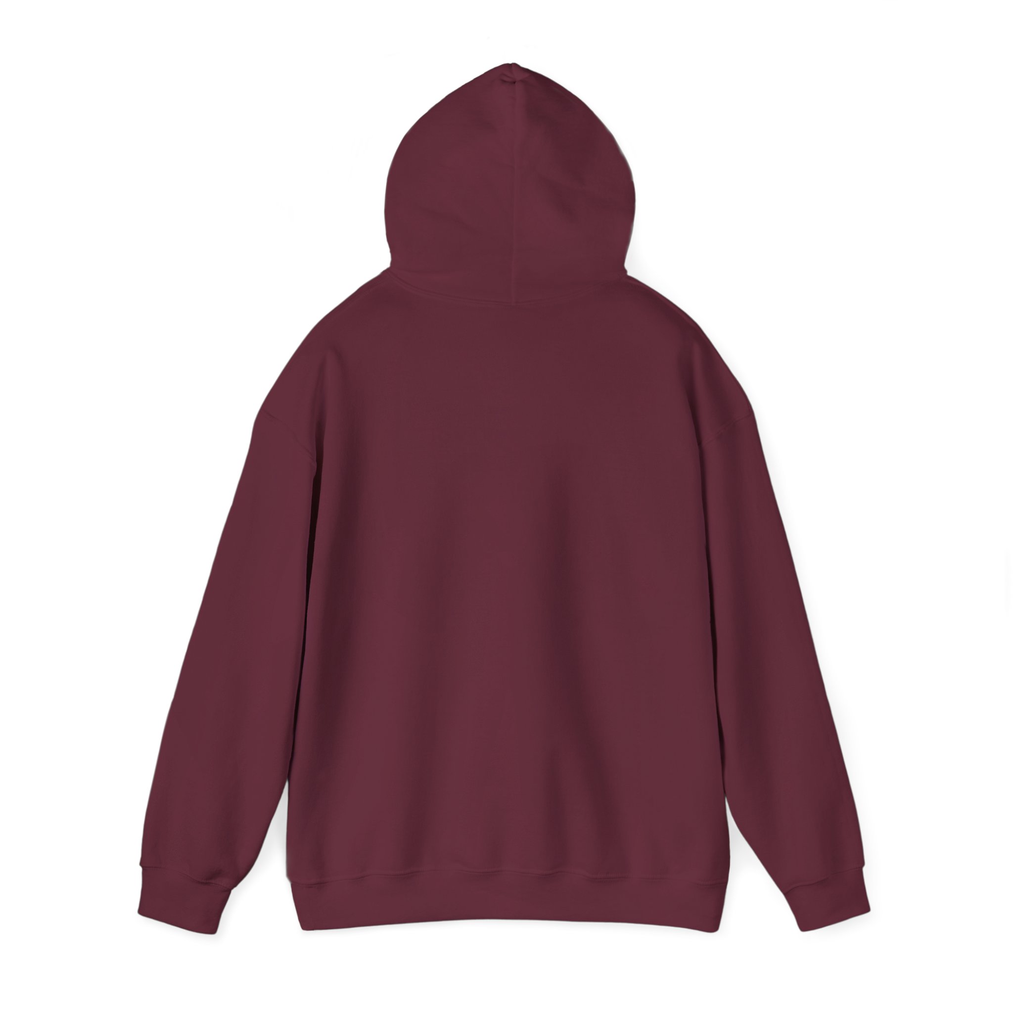 fly in season hoodie – light aircraft graphic, unisex pullover