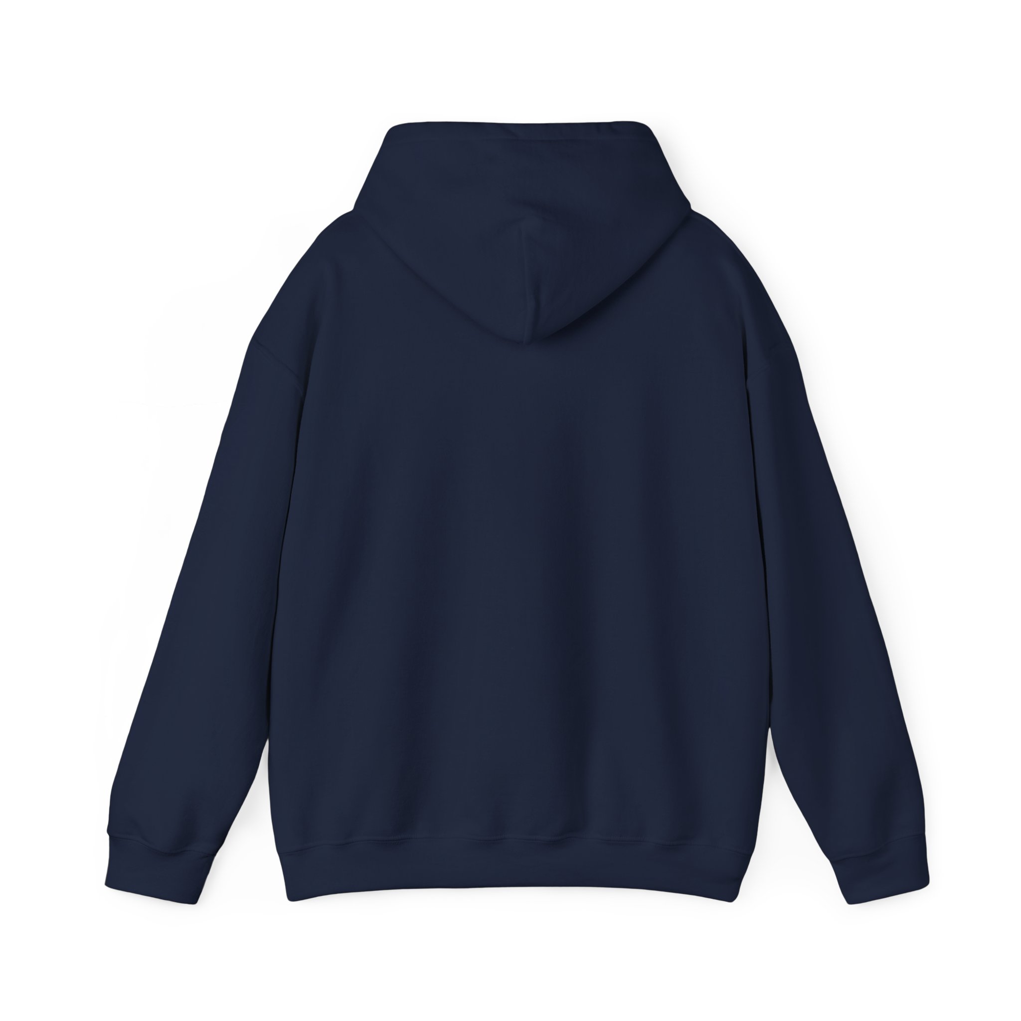 aviate navigate communicate hoodie – heading indicator design, unisex pullover