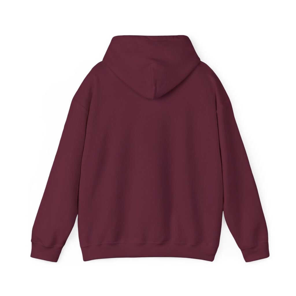 fly in season hoodie – light aircraft graphic, unisex pullover