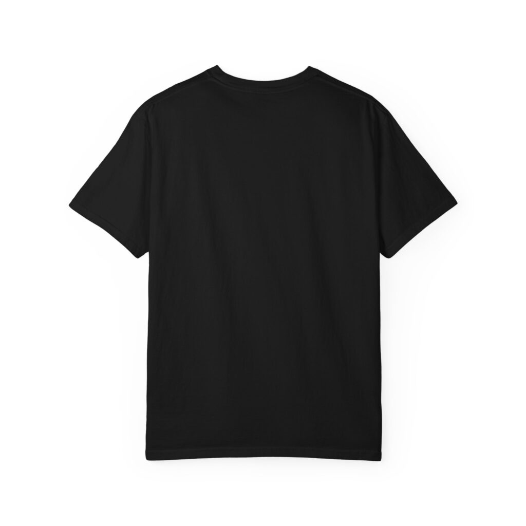 cavok t shirt – ceiling and visibility ok, garment dyed tee