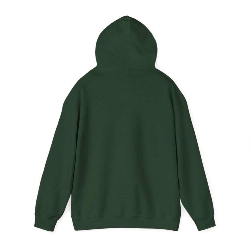 fly in season hoodie – light aircraft graphic, unisex pullover