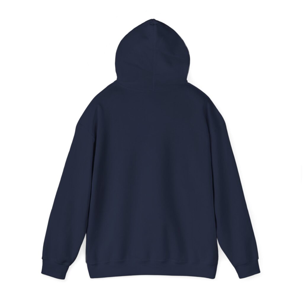 fly in season hoodie – light aircraft graphic, unisex pullover