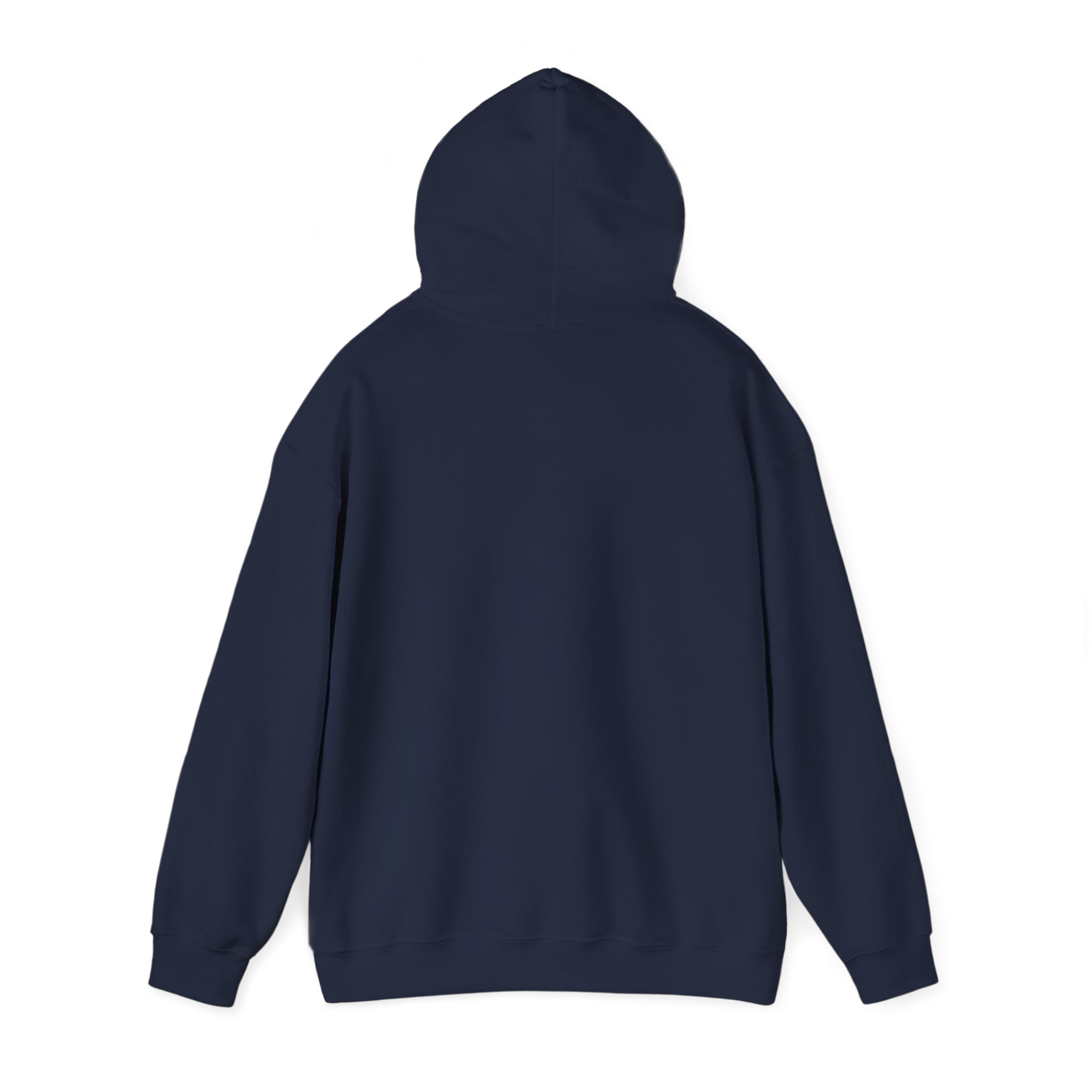 fly in season hoodie – light aircraft graphic, unisex pullover