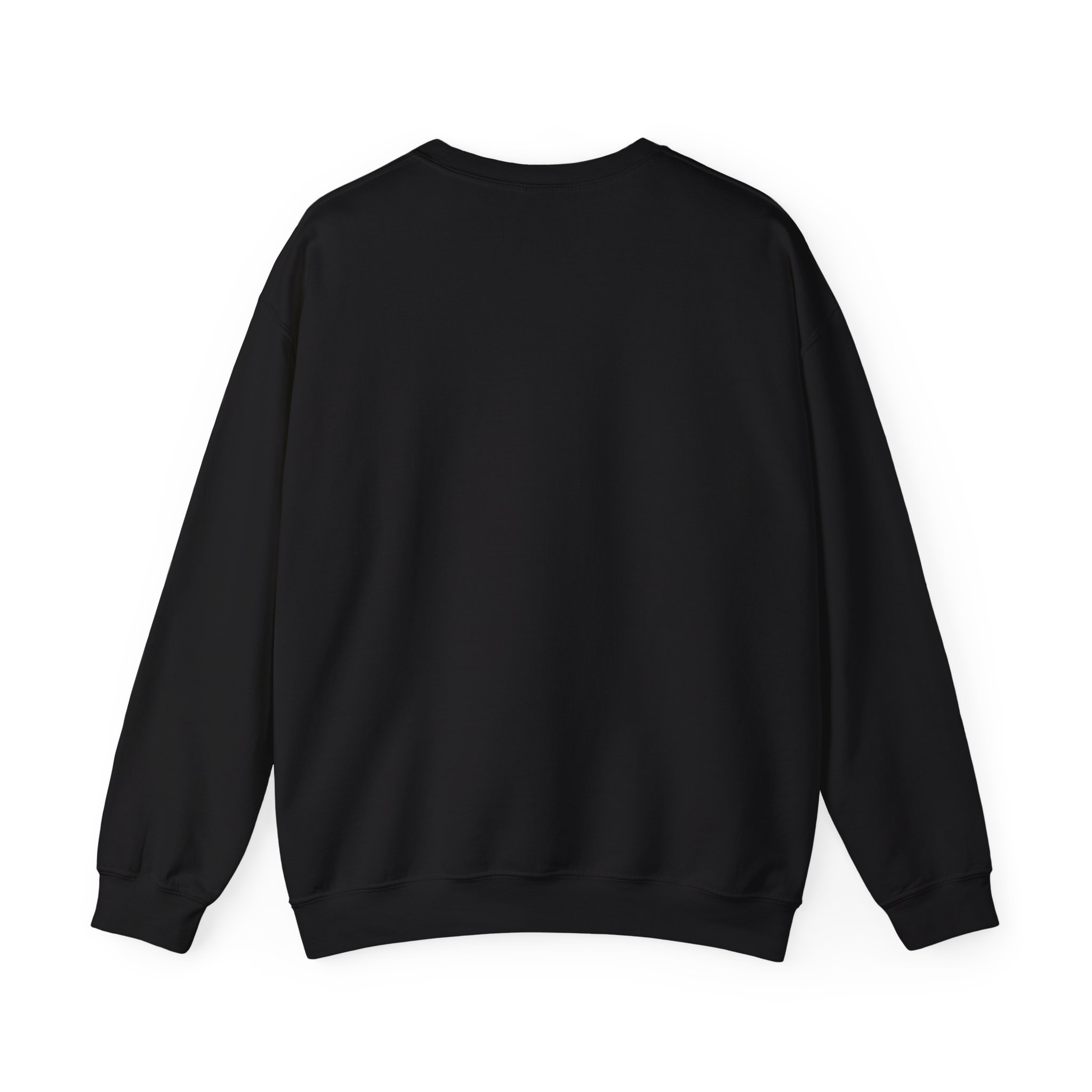 fly in season sweatshirt – light aircraft graphic, unisex crewneck