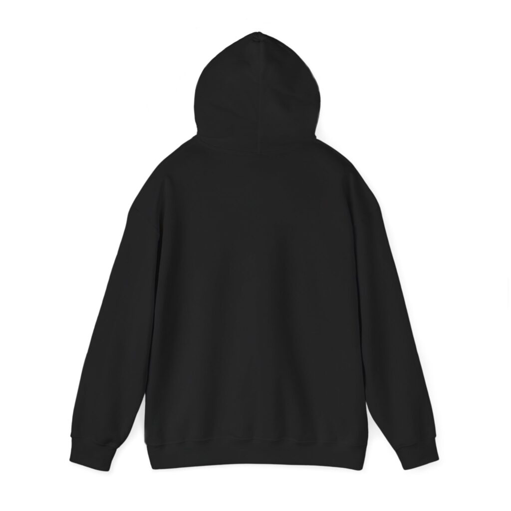 fly in season hoodie – light aircraft graphic, unisex pullover